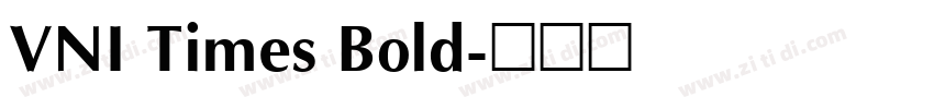 VNI Times Bold字体转换